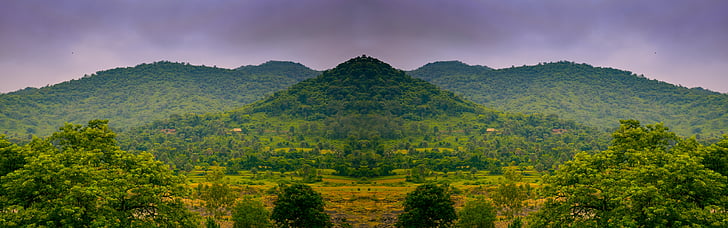 panorama, side, green, tree, long, cloud, sky