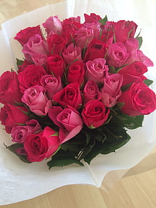 Rózsa, csokor, virágok, rózsaszín, boldog, dátum, Rose - virág