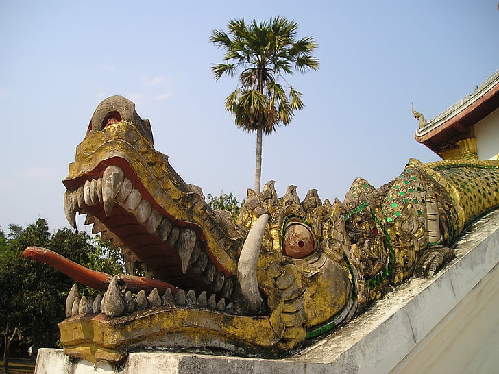 Laosa, dienvidaustrumi, Āzija, tāpēc, krokodils, pūķis, templis