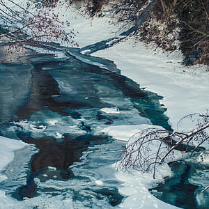 water, ice, nature, winter, winter cold, winter trees, shrubs