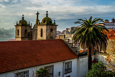 porto, portugal, houses, palm, architecture, landmark, building