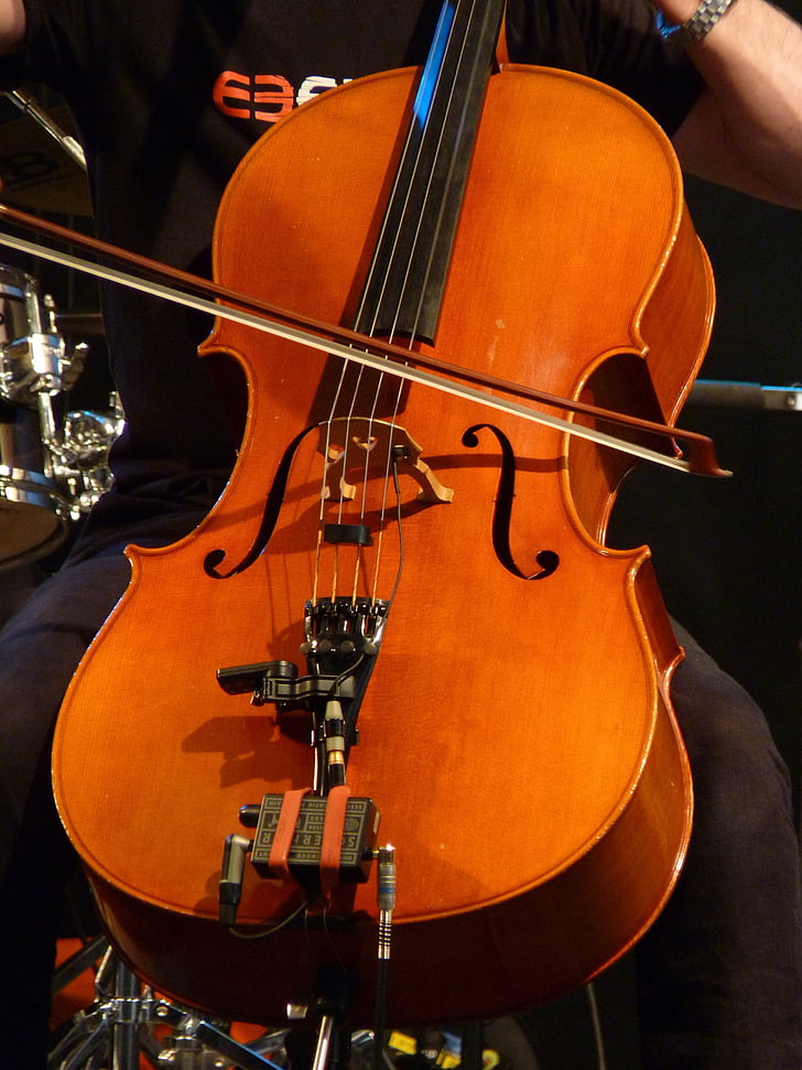 cello, strängar, instrumentet, Arch, stränginstrument