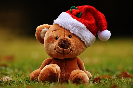 Рождество, Тедди, Мягкая игрушка, колпак Санта-Клауса, смешно, плюшевый медведь, игрушка