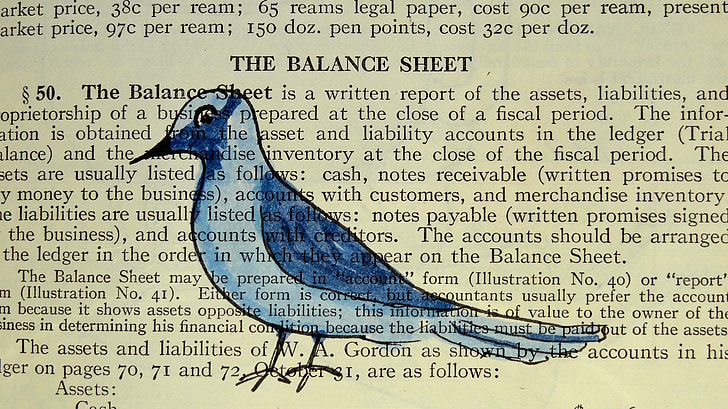 bird, book, design, paper, vintage, animal, page