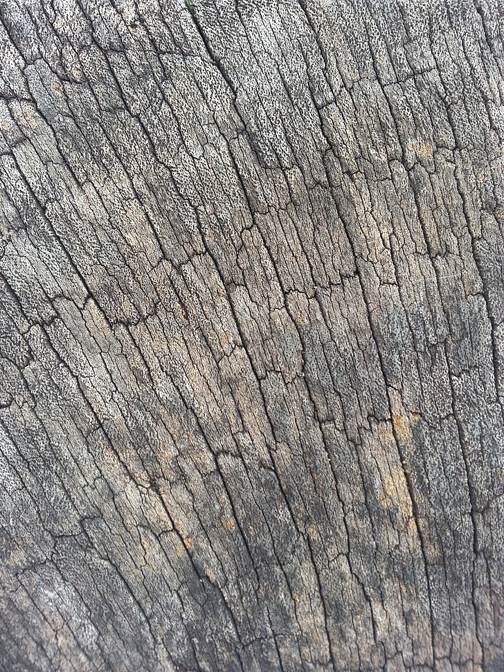 Текстура деревини, Деревина, зерна, лінії, затінення