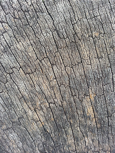 Dřevo obilí, dřevo, zrno, čáry, stínování