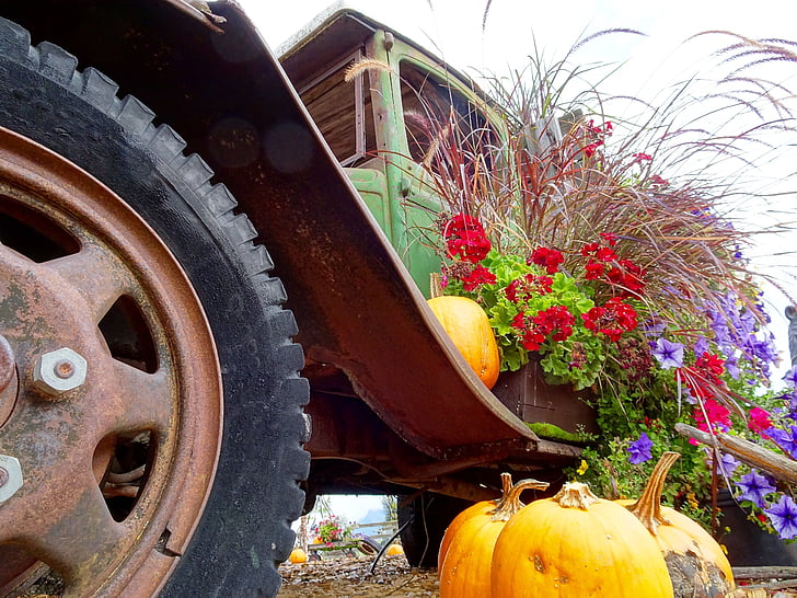 truck, pumpkins, flowers, display, decoration