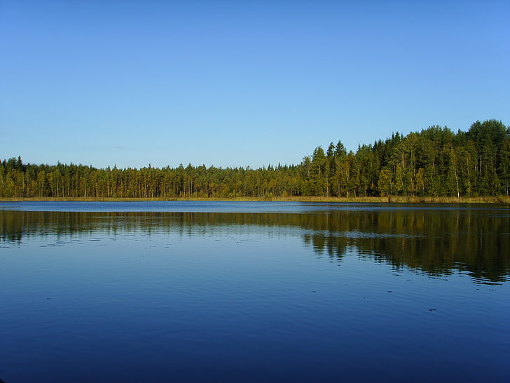 езеро, природата, дървета, естествени, синьо, крайградски, пътуване