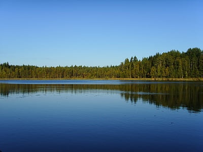 Lac, nature, arbres, naturel, bleu, campagne, voyage