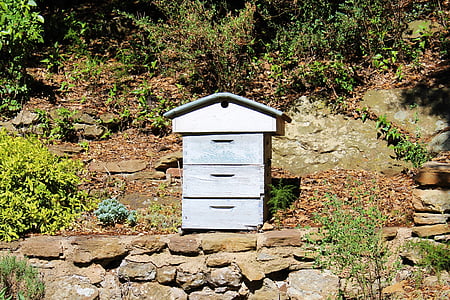 colmena, apicultura, jardín, colmena azul, apicultor