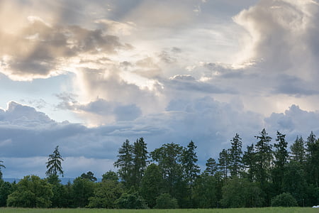 nuvole, paesaggio, alberi, abete, campo, a-chez-perrin, Svizzera