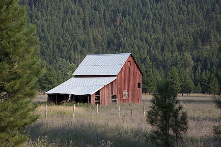 abandoned, agriculture, architecture, barn, building, conifers, country