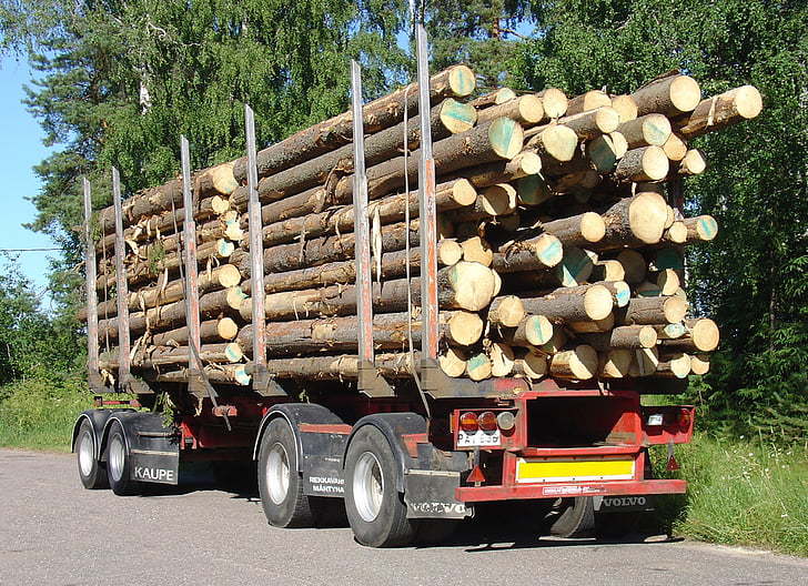 vehicle, fusta, transport, camió, Industria de la fusta, indústria, arbre