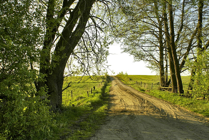 way, fields, peace of mind, village, idyllic, sandy road, tree