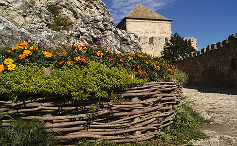 城堡, sümeg, 匈牙利, 花, 花坛, 植物, 万寿菊