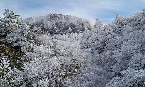漢拏山と雪 nambyeok, nambyeok 雪に覆われた山, mt の雪祭り