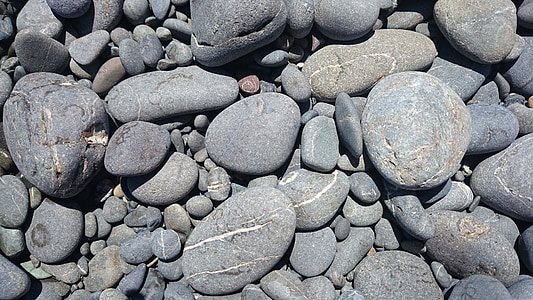roques, platja, pedres, natura, riba