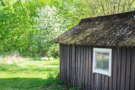 Cottage, maison, été, fenêtre de, herbe, toit, nature