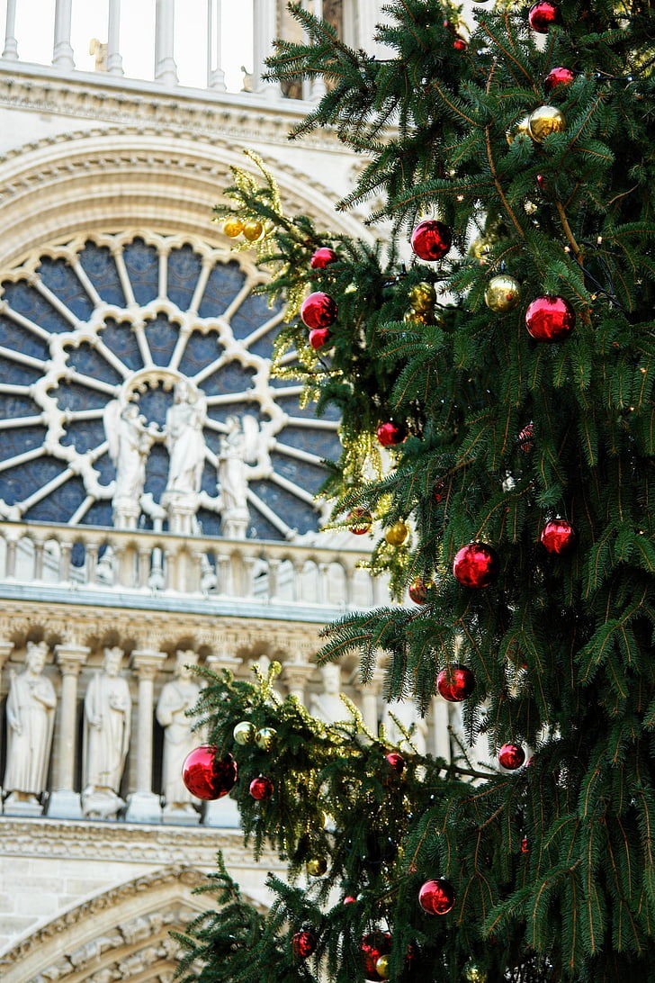 Frankrig, Paris, kirke, West rose, detaljer, jul