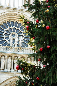 Ranska, Pariisi, kirkko, Lännen ruusu, yksityiskohta, joulu