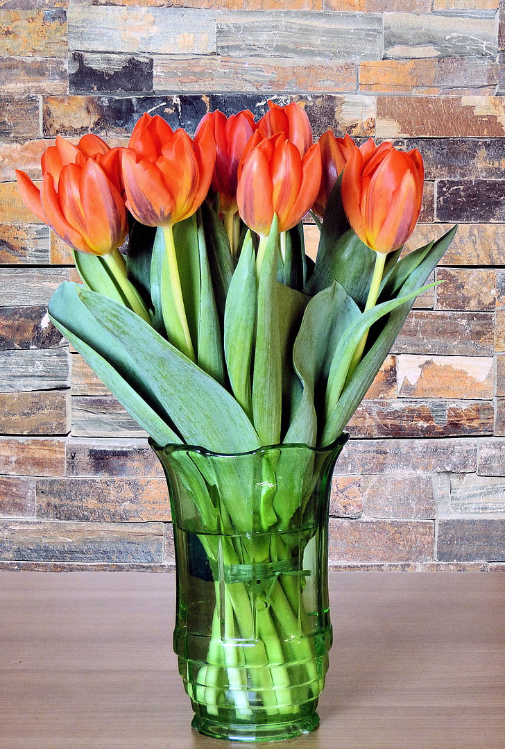 vas bunga, Tulip, musim semi, bunga, mekar, vas, Tulip
