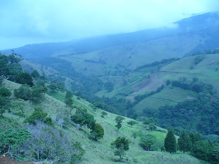 podeželje, Kostarika, megleno, krajine, divjine, kulise, naravne