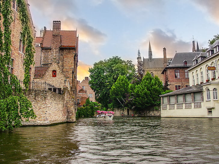 Bruges, Floris karos Bruges, Belgium, csatorna, fa, eső, város
