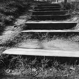 stairs, gradually, upward, staircase, footpath, steps, outdoors