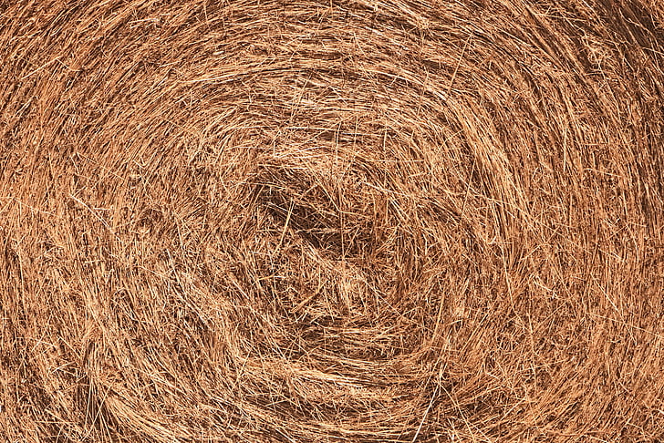 hay, texture, ball, straw, grass, forage