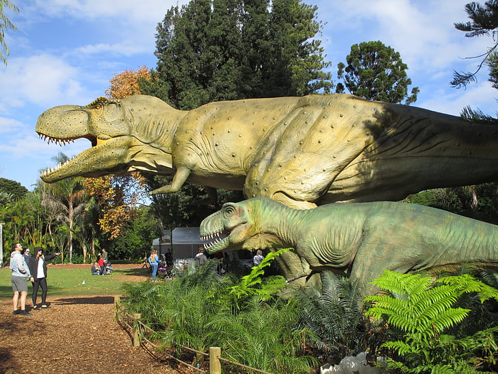 Динозаври, t-rex, зоопарк, Tyrannosaurus, юрського періоду