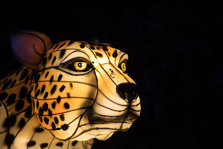 Jaguar, luz, animal, cabeza, boca, leopardo, guepardo