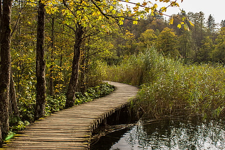 Jeziora Plitwickie, Chorwacja, wody, krajobraz, Natura, Park, Plitvice