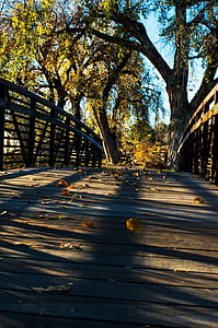 Jembatan, musim gugur, musim gugur, alam, pemandangan, daun, Taman