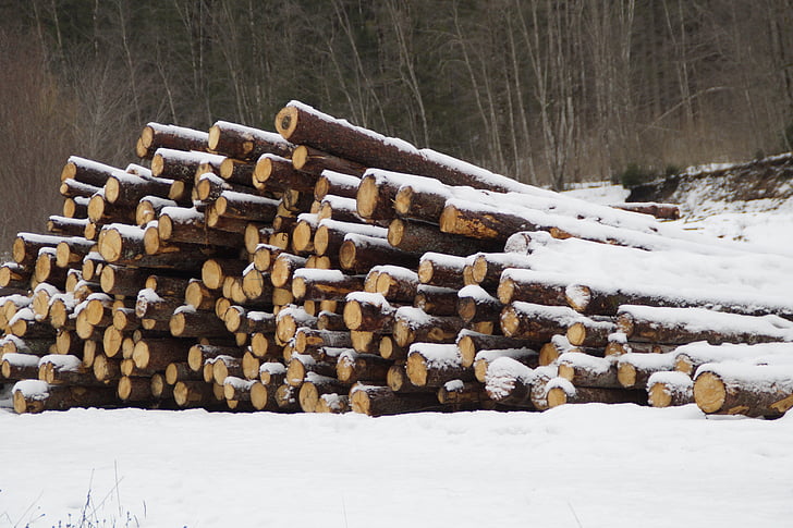 holzstapel, tree trunks, strains, log, stacked up, stack, snowy