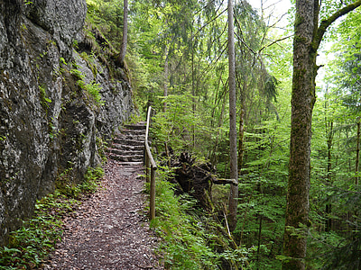 hijau, jalan, kenaikan, Hiking, Bavaria, Ludwig trail, rumput