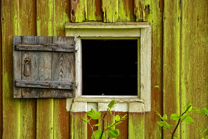 fönster, gammalt trä, fönster dörr, sommar, gap, gröna alger, ladugården