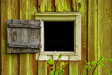 παράθυρο, παλαιό ξύλο, πόρτα παράθυρο, το καλοκαίρι, χάσμα, πράσινα φύκια, αχυρώνα