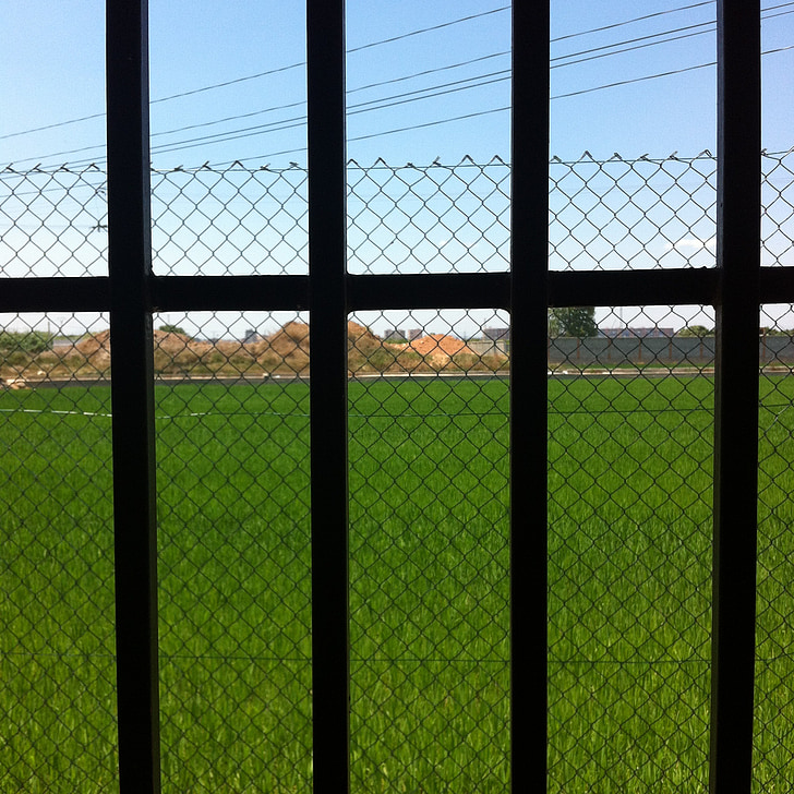 green, nature, grass, landscape
