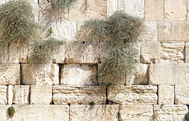 Jeruzalem, Zid objokovanja, Izrael, vere, molitev, judovstvo, Sveto