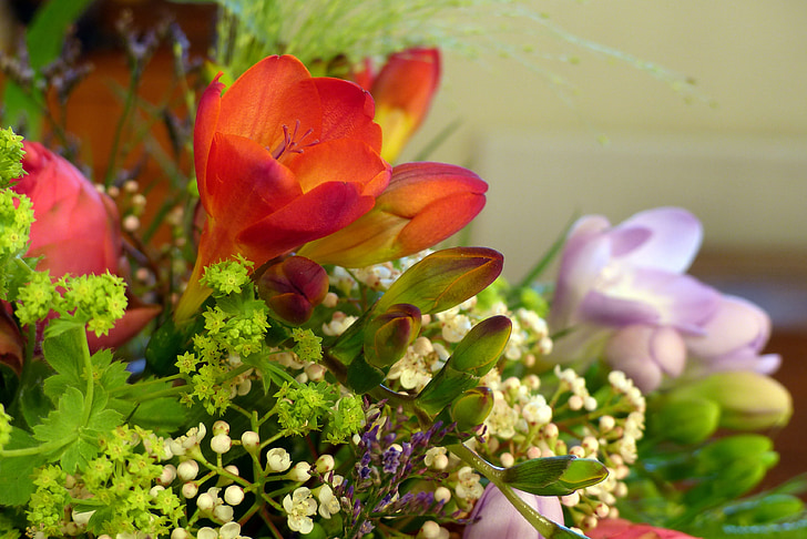 bukett, SIA, naturen, blommor, romantiska, färgglada, dekoration