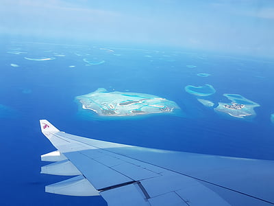 Maldives, vol, illa, sota l'aigua, no hi ha persones, un animal, Natació