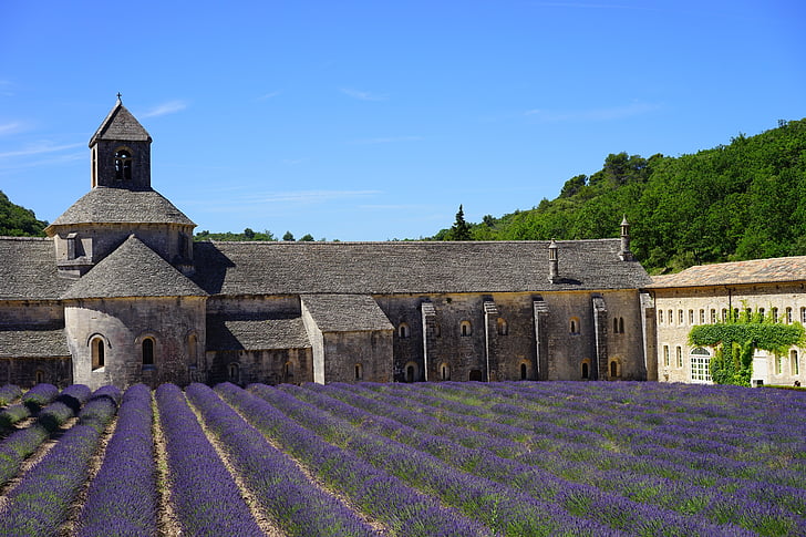 church, monastery church, building, architecture, abbaye de sénanque, monastery, abbey