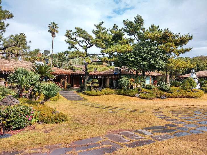 illa de Jeju, l'hotel Haevichi, jardí, cafeteria