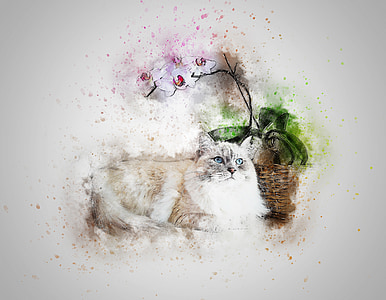 котка, домашен любимец, бяло, изкуство, абстрактни, процъфтяват, реколта