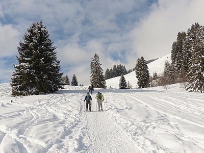 humà, persones, nòmada, caminada de calçat de neu, raquetes de neu, neu, senderisme, Caminada d'hivern