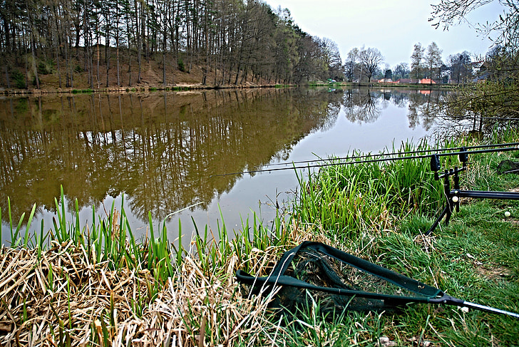 pêche, étang, réflexion, surface, bord de l’étang, Ledenice, Bohême du Sud