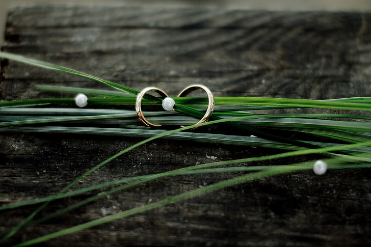 Vjenčano prstenje, trava, drvo, nakit, kuglice, zelena, zlato
