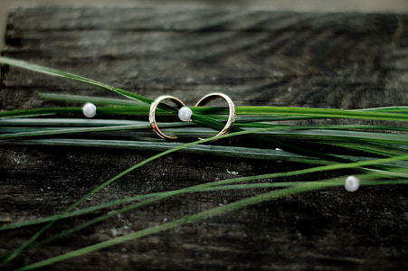 anillos de boda, hierba, árbol, joyería, granos de, verde, oro
