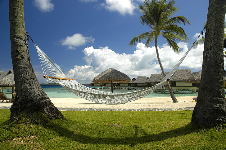 beach, bungalows, clouds, hammock, nature, ocean, palm trees