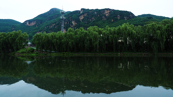 Lac, à côté de, vert, arbres, près de :, montagne, blanc